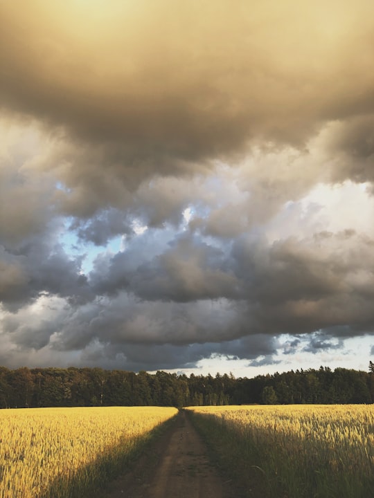 photo of Île d'Orléans Plain near Traverse Québec-Lévis