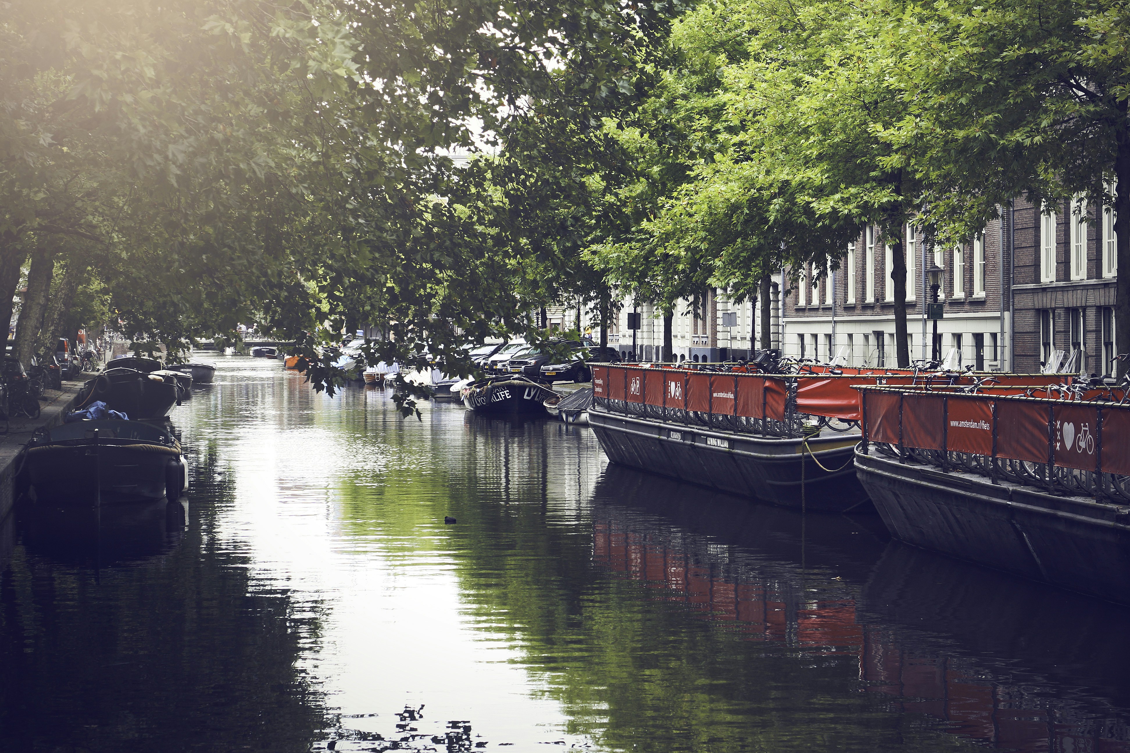 Photo by metalcolonel