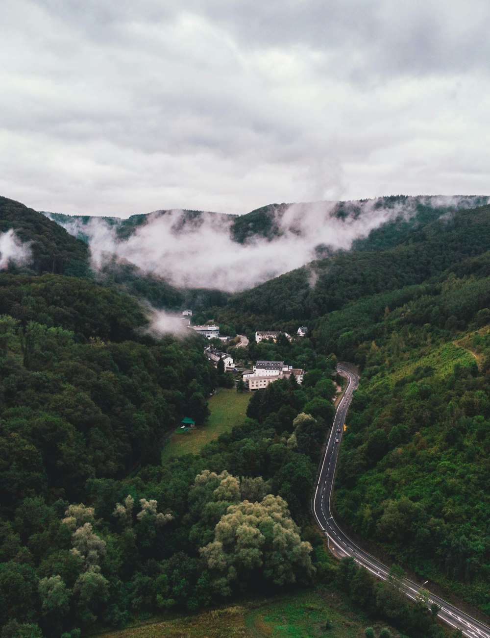 road between trees and hills