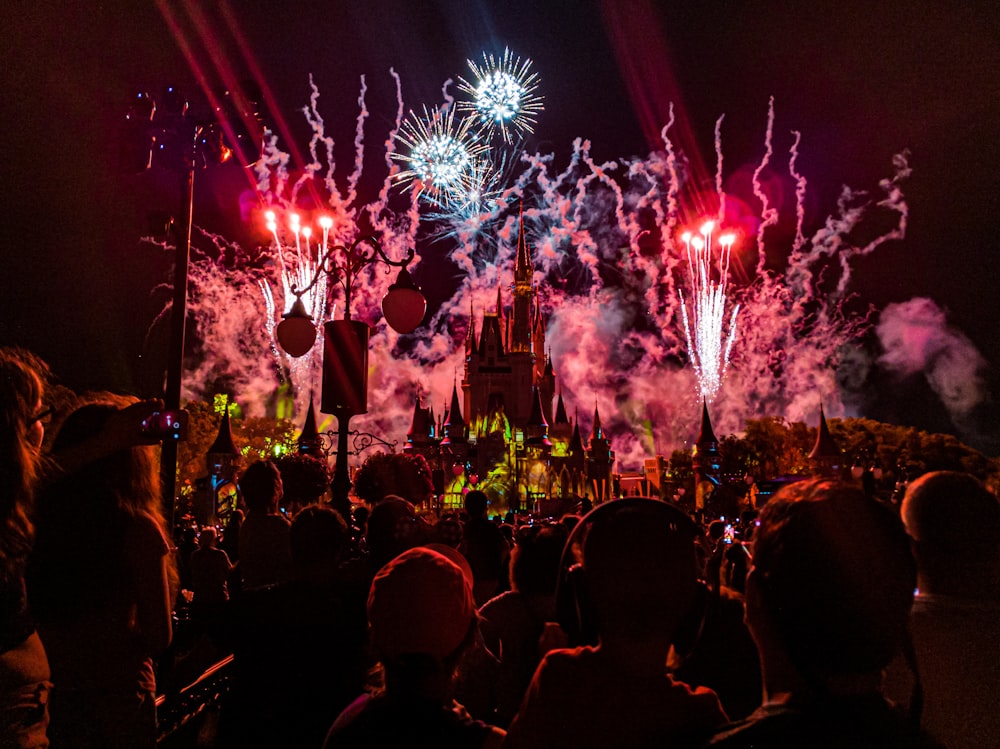 people standing watching fireworks display