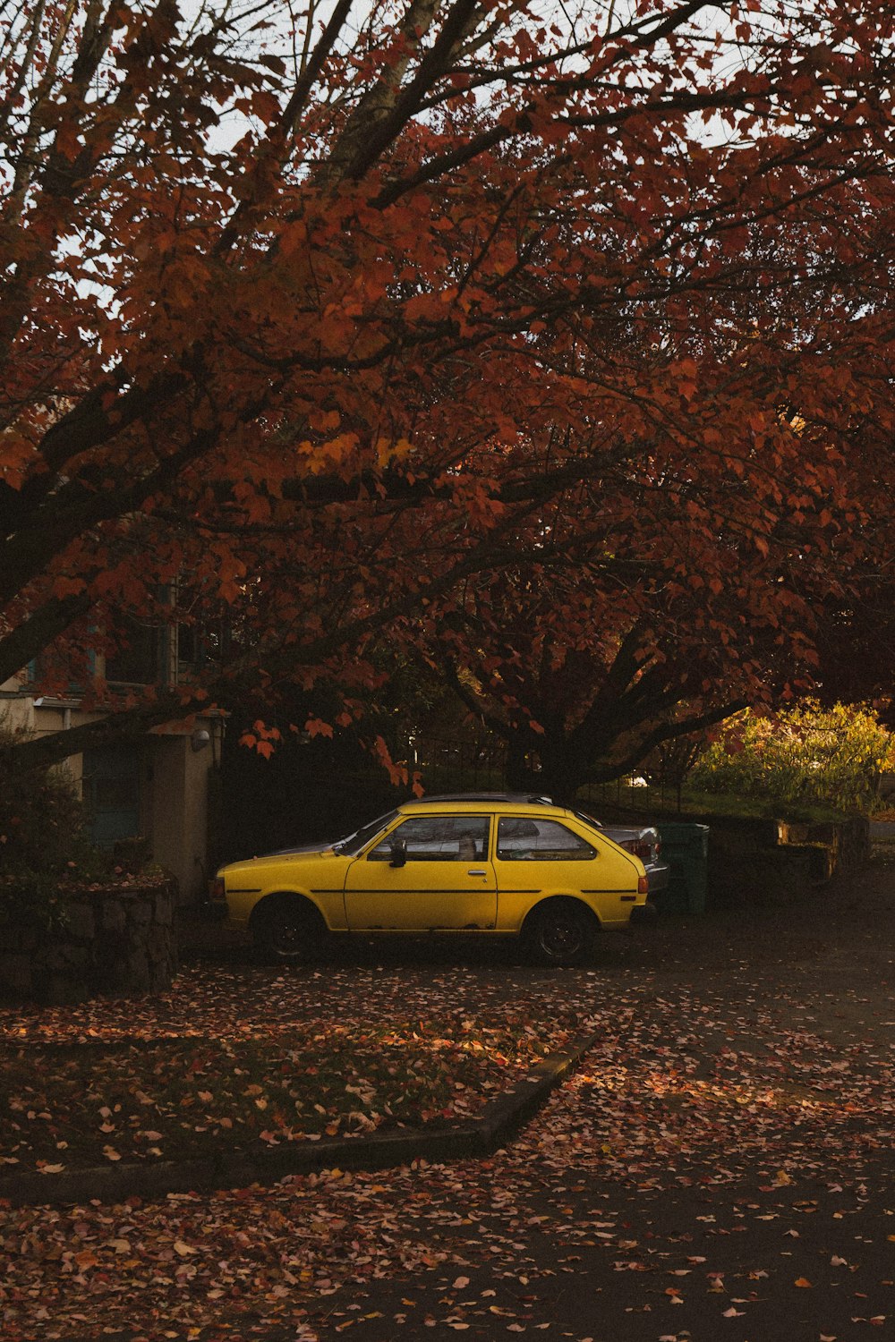yellow vehicle parked beside tree