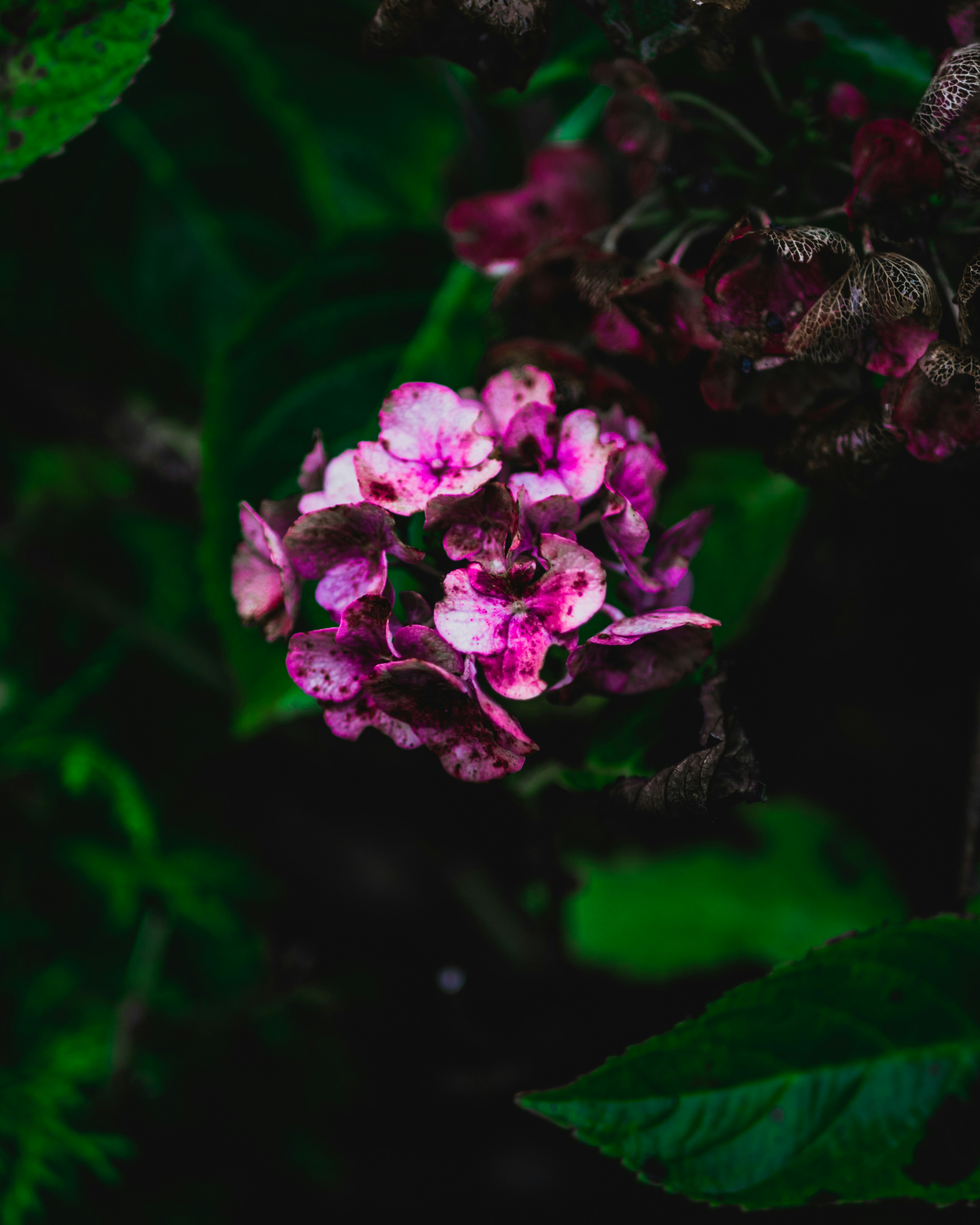 Photo by greaterbythehour