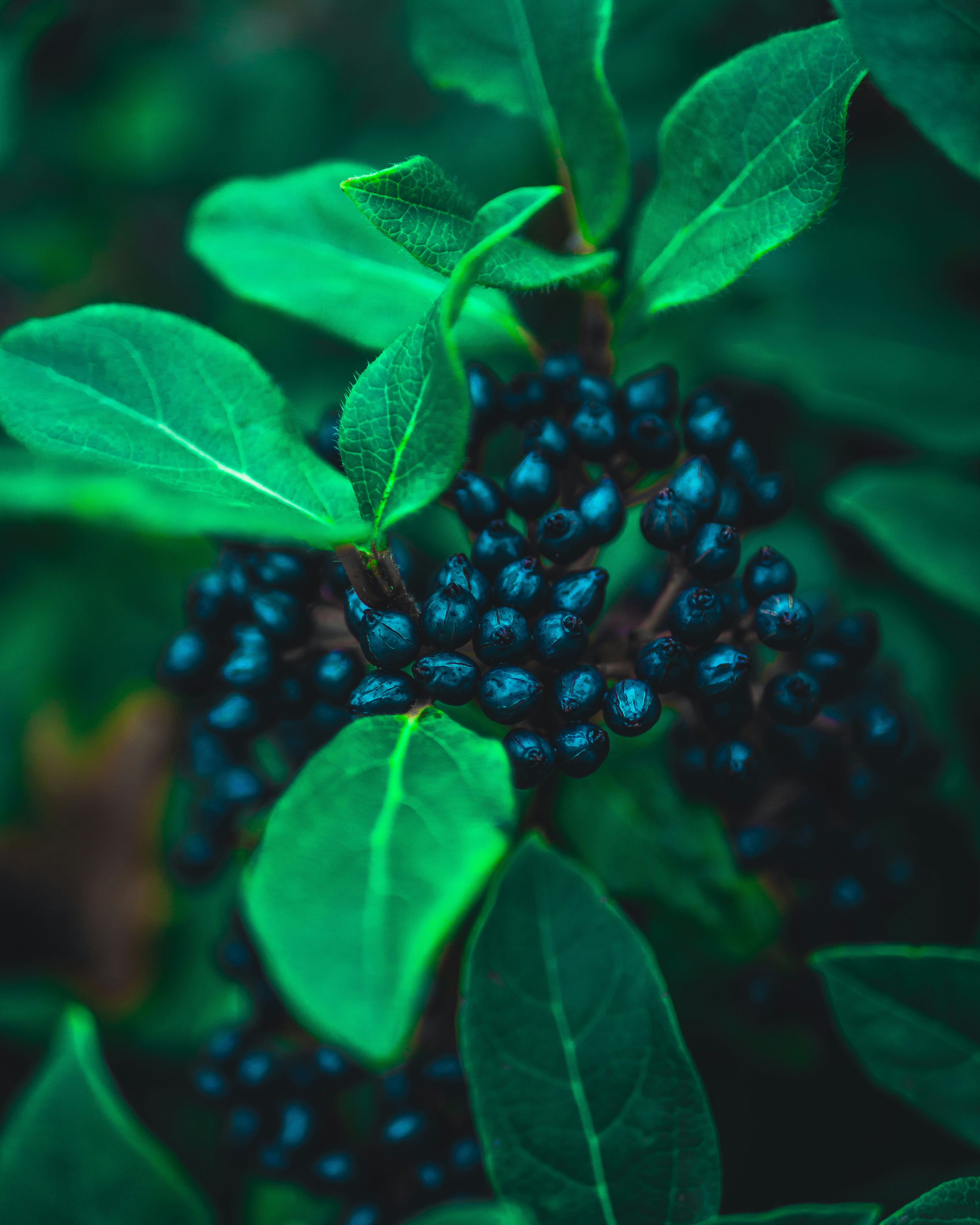 Photo by greaterbythehour