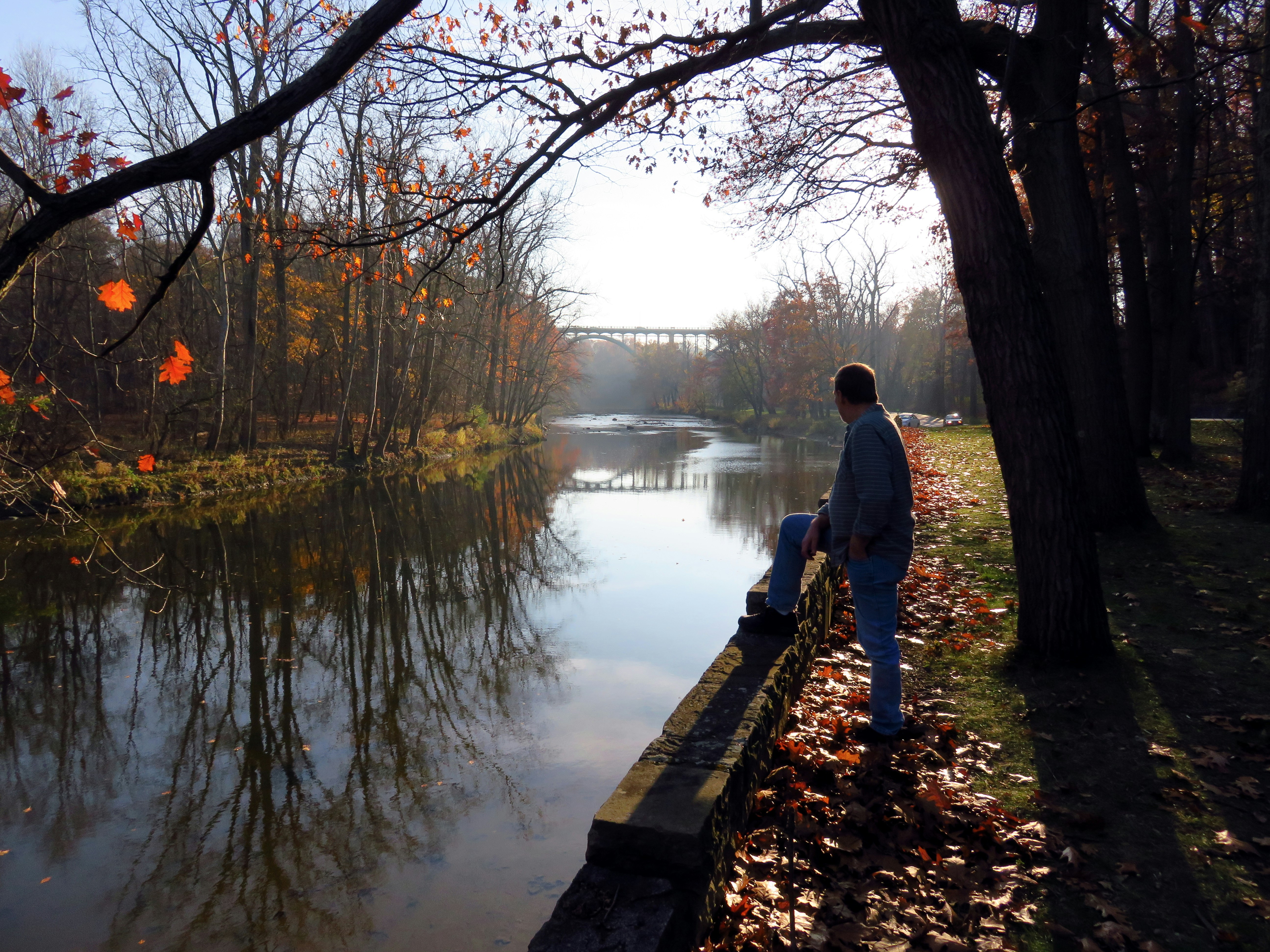 Photograph taken in the Rocky River Metroparks, Ohio in late November