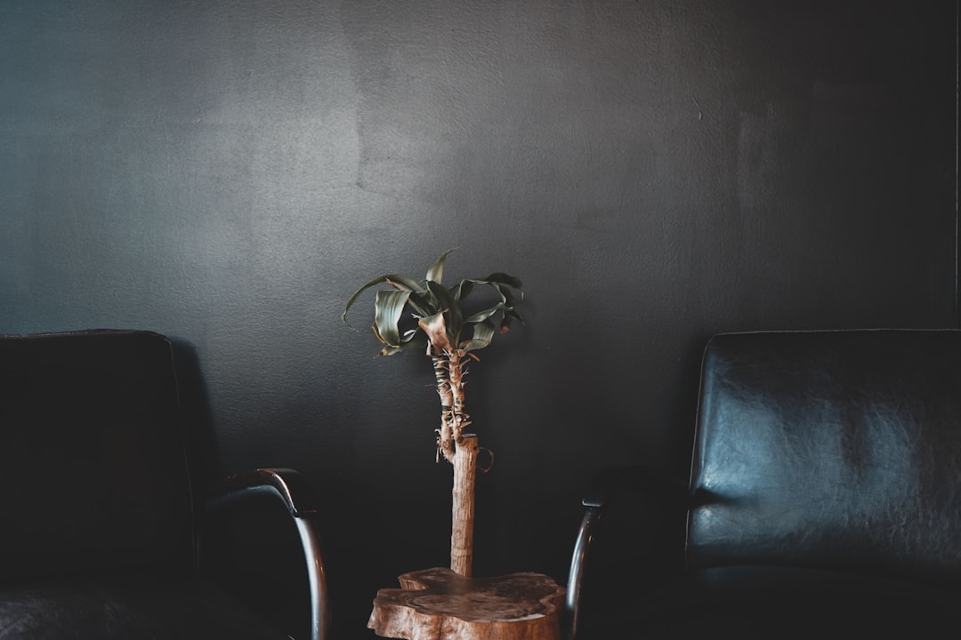 two black armchairs beside wall