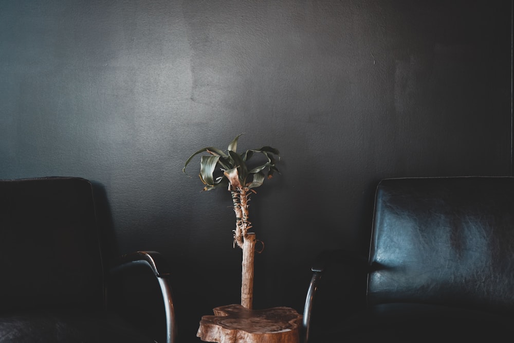 two black armchairs beside wall