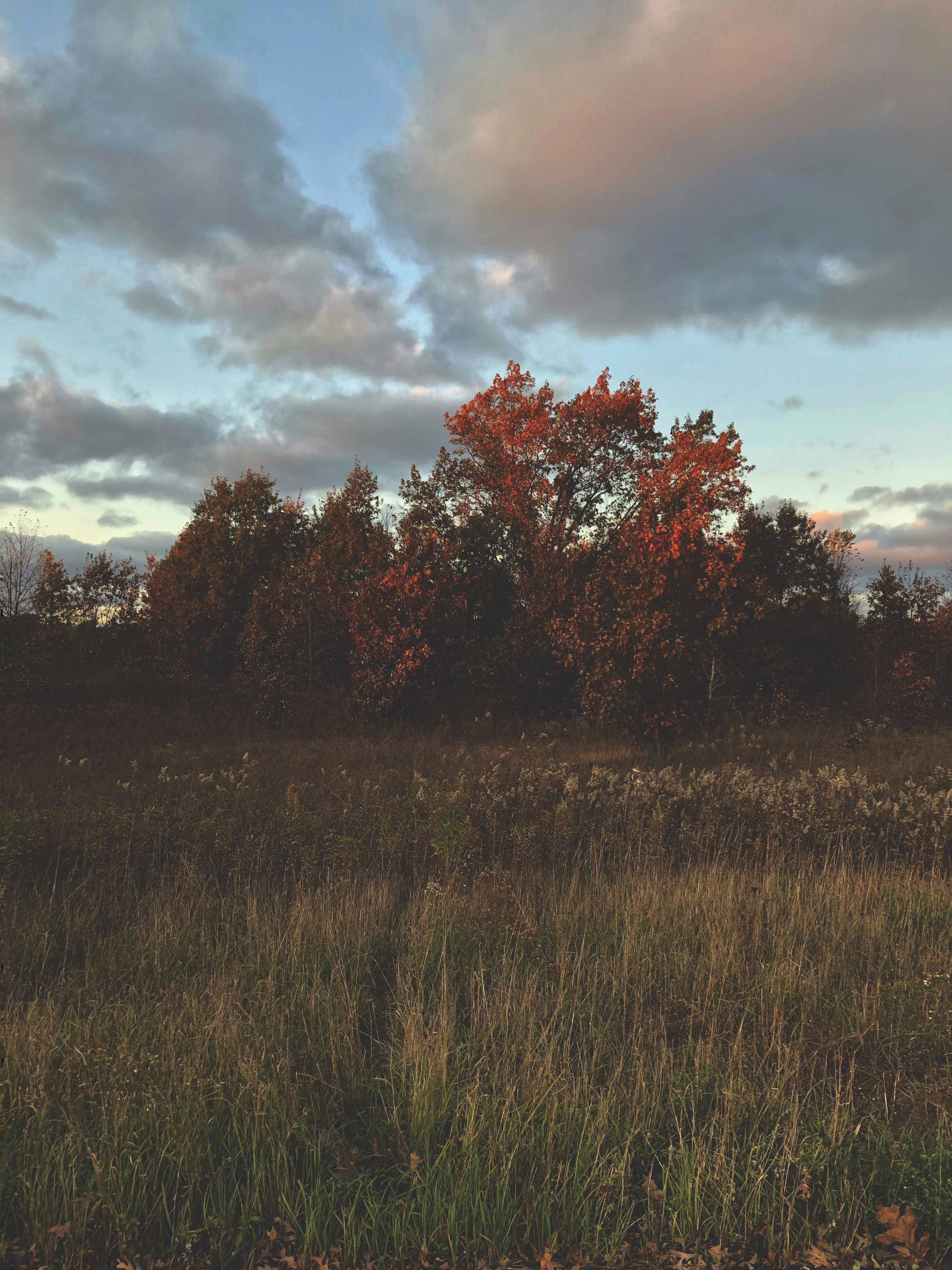 Photo by nicholas_szewczyk