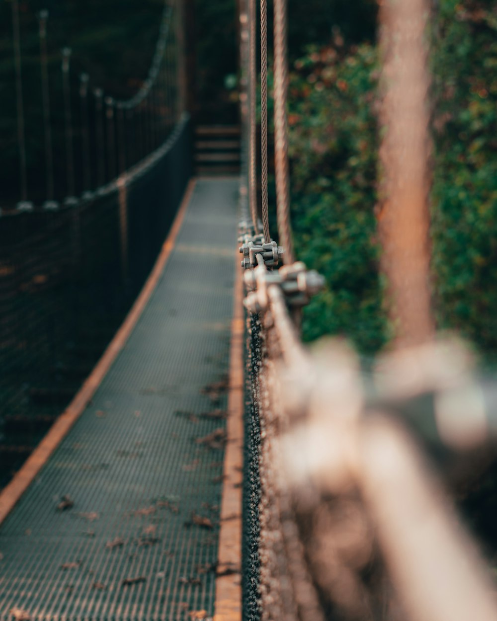 selective-focus photograph of hanging bridge