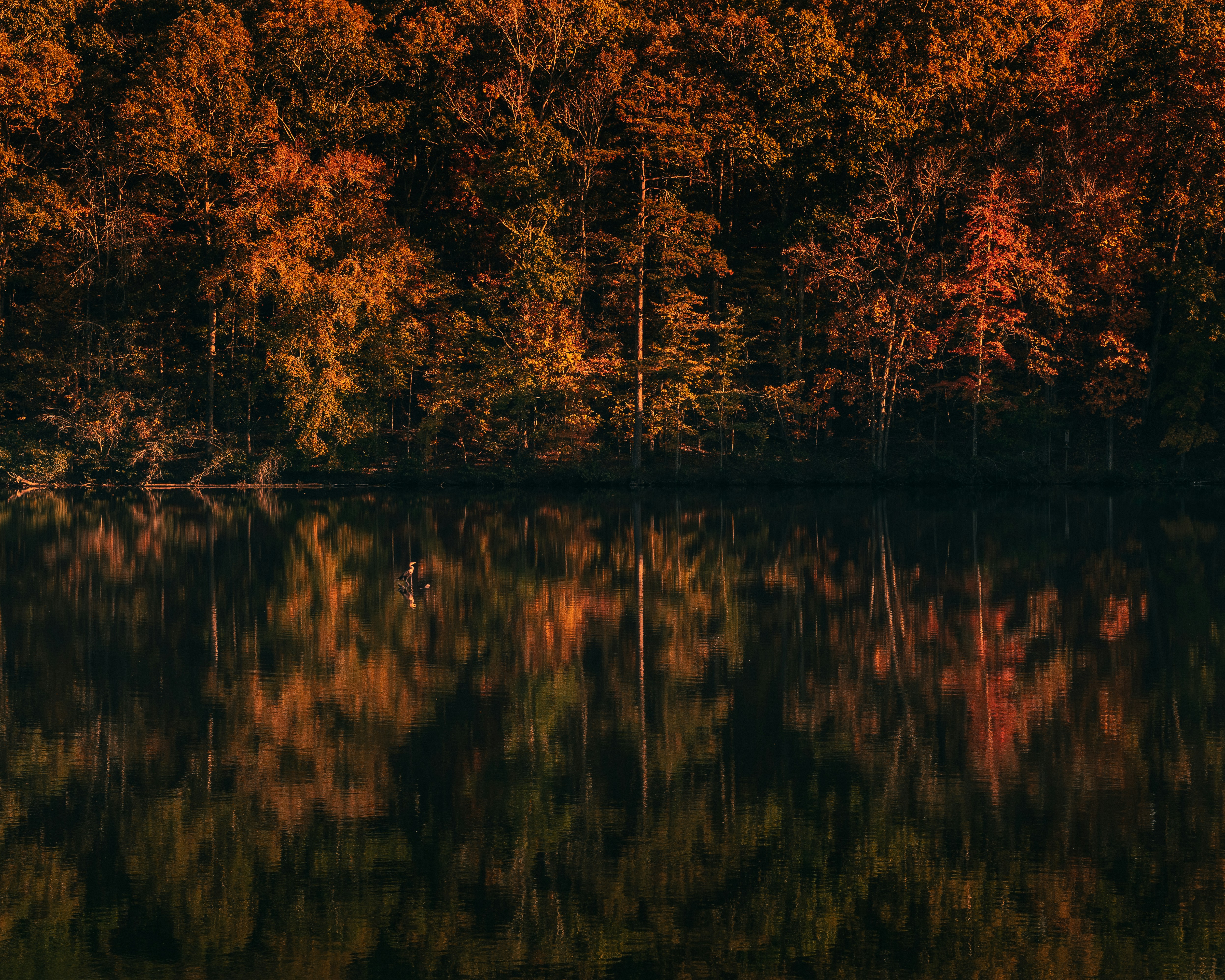 Photo by reynaldoriveraa