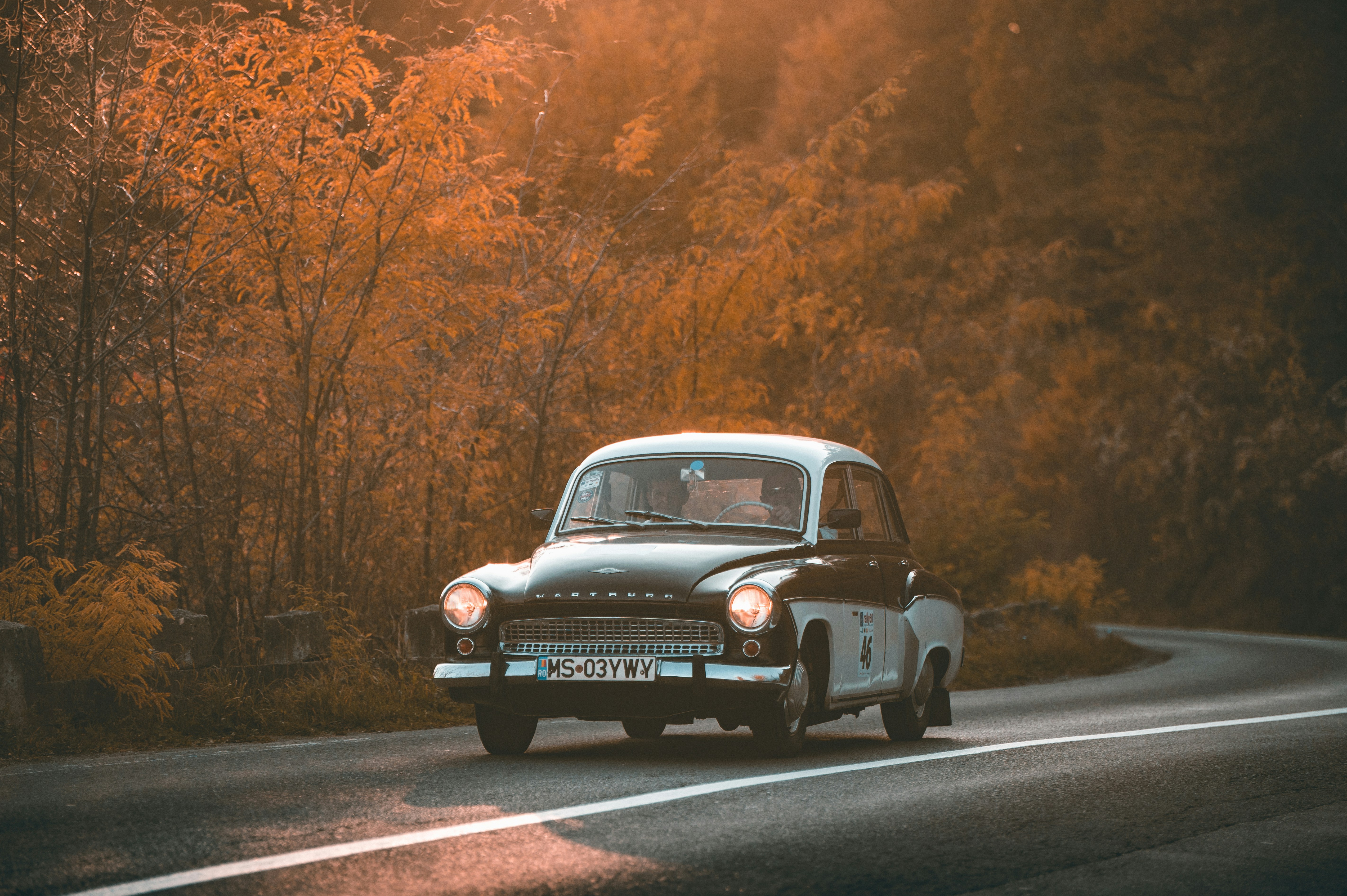 Photo by tamas_tuzeskatai