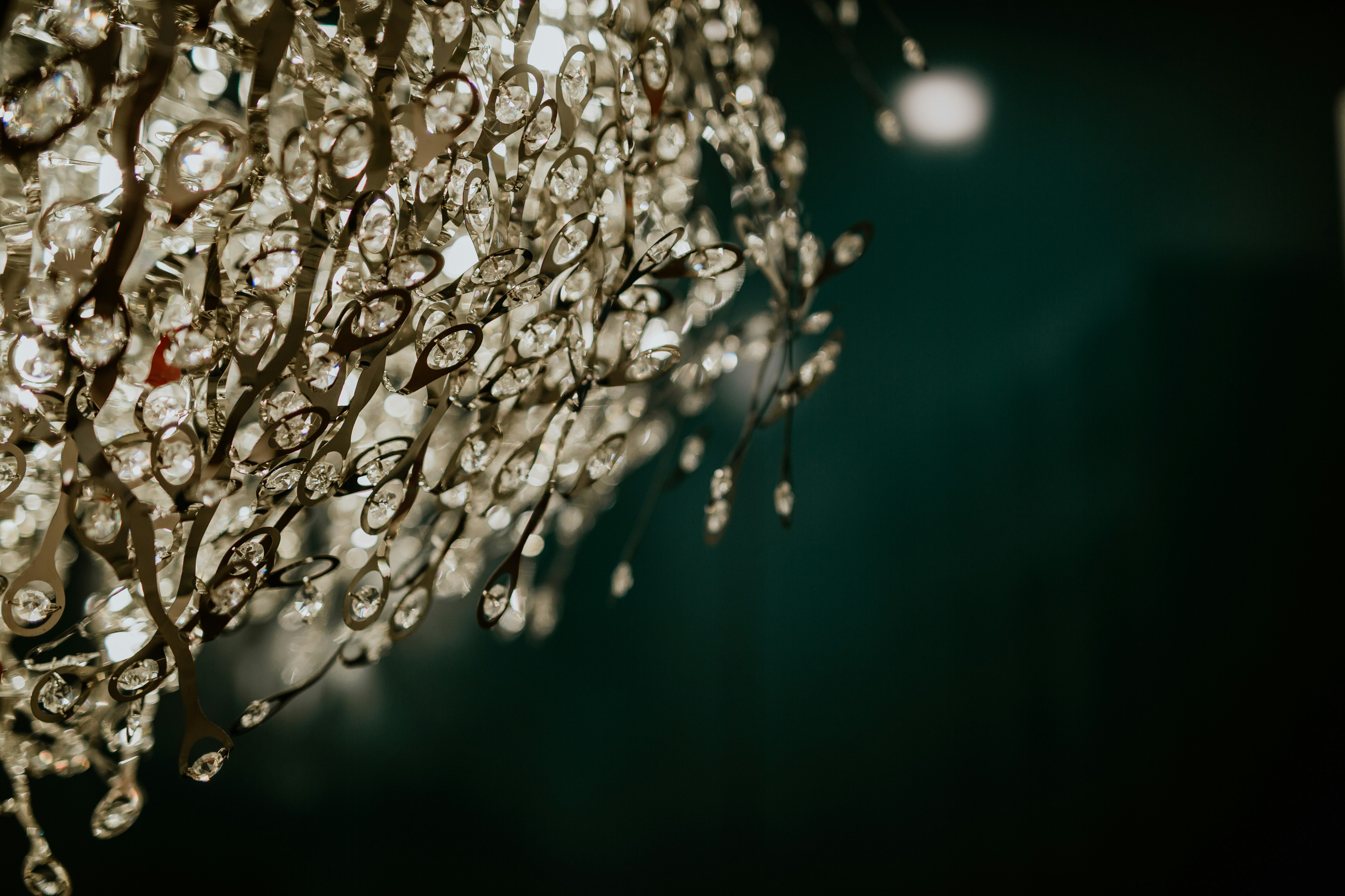 Photo by anitajeaninephotography