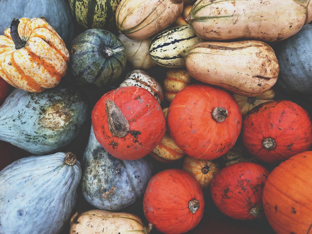 assorted-color squash fruits