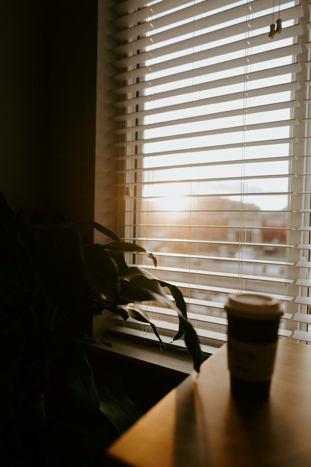 selective focus photography of white coffee cup beside window