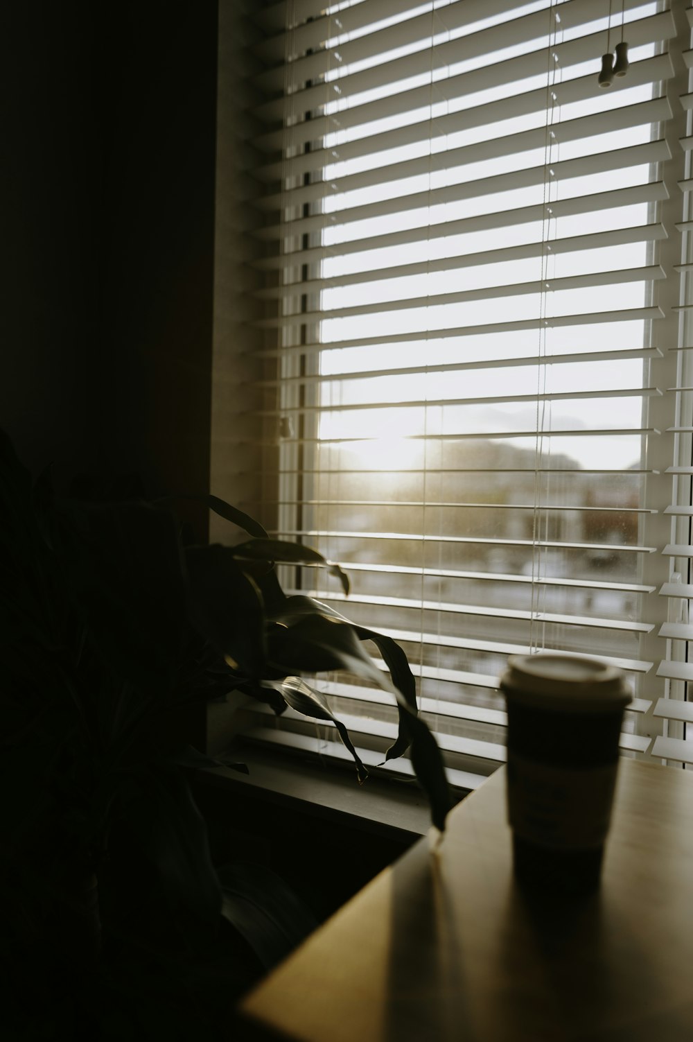 selective focus photography of white coffee cup beside window