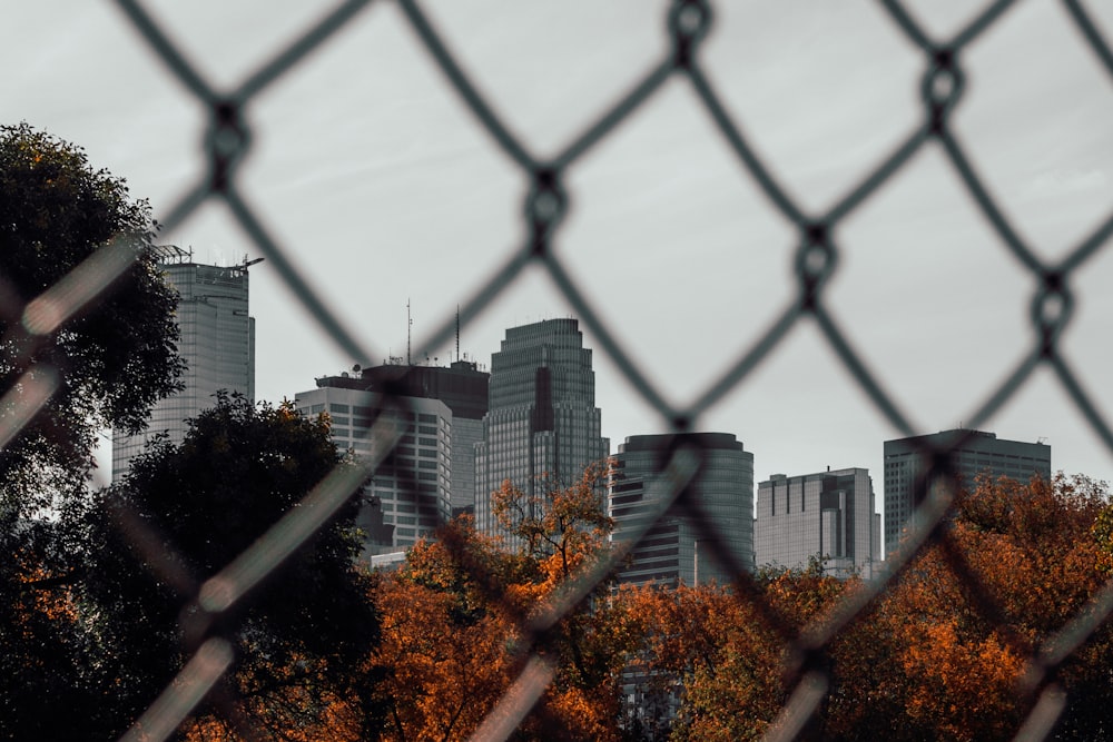 selective focus photography of mesh chain link fence near high-rise buildings