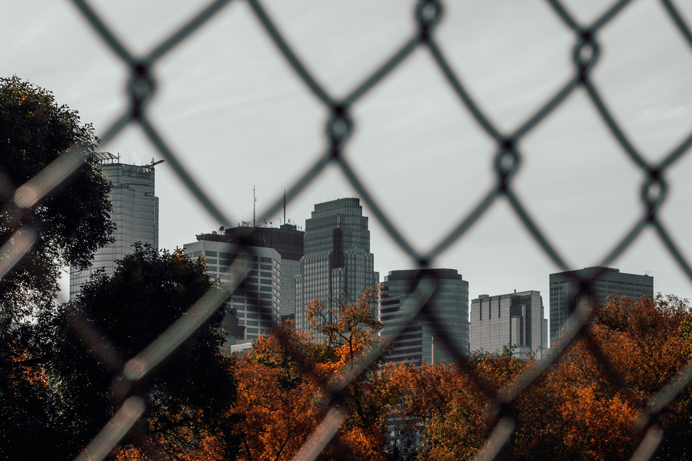 Minneapolis In Fall