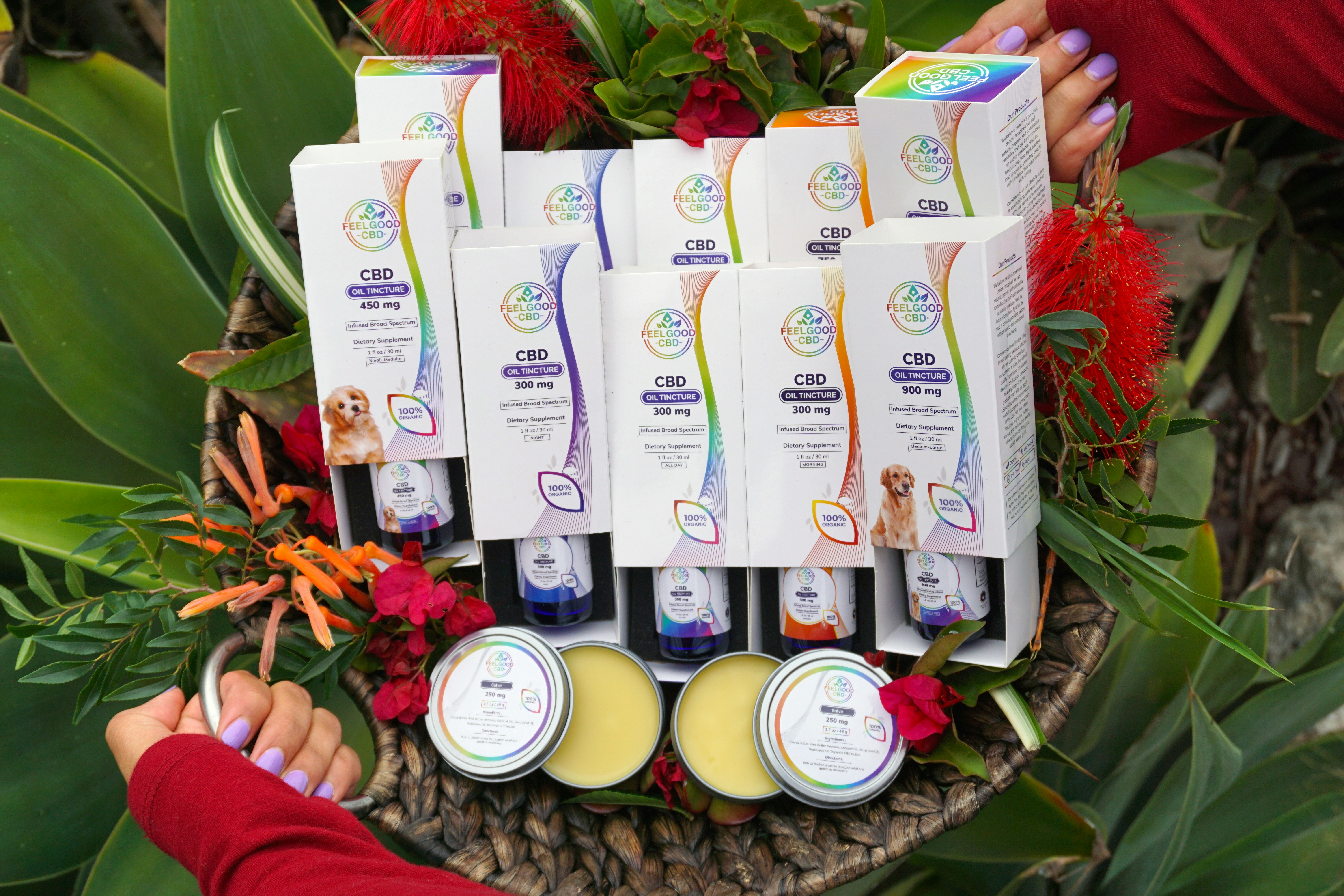 Anticipating Regulatory Shifts: policy Trends, Advocacy Strategies and Operational Recommendations