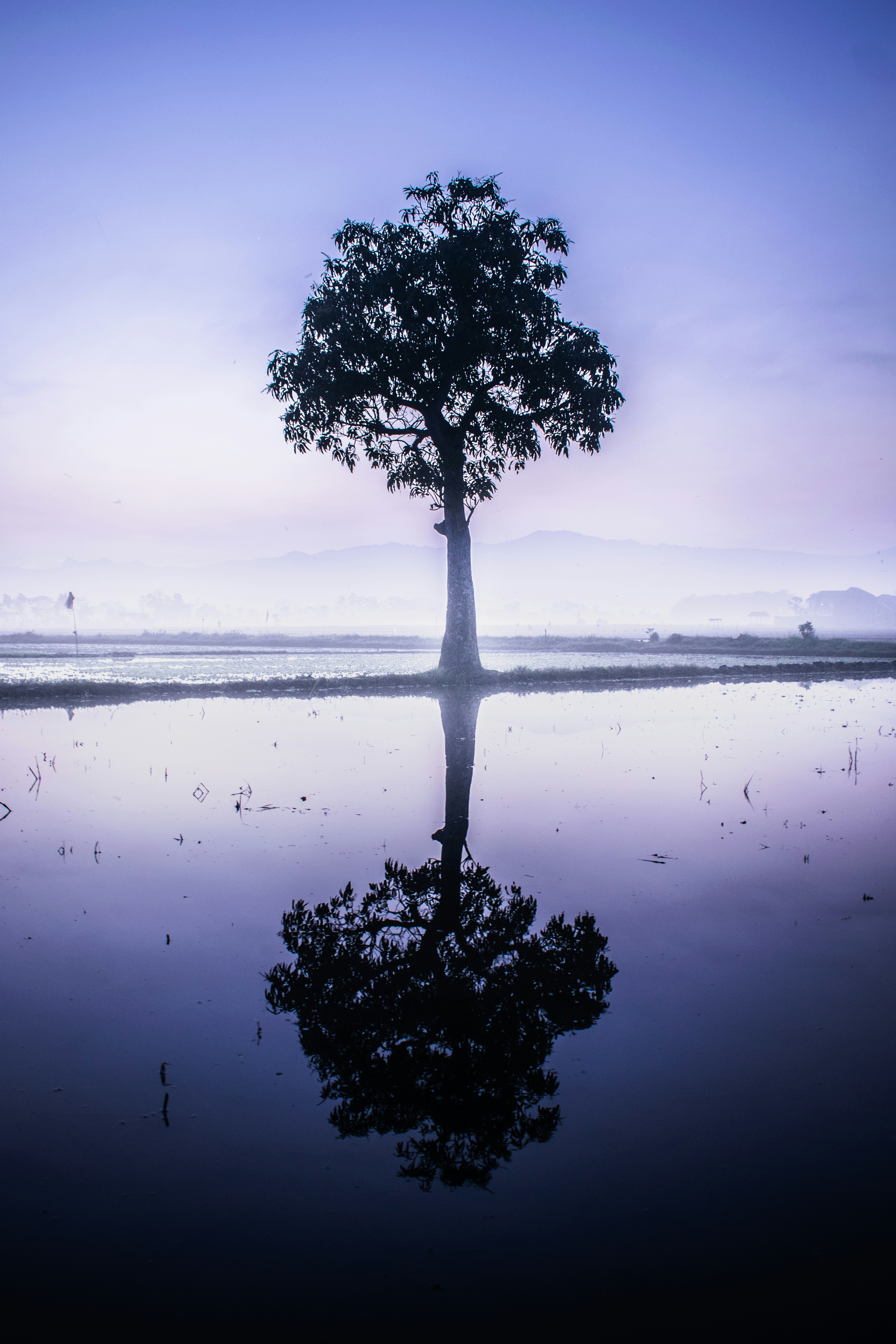 Photo by hikarinoshita