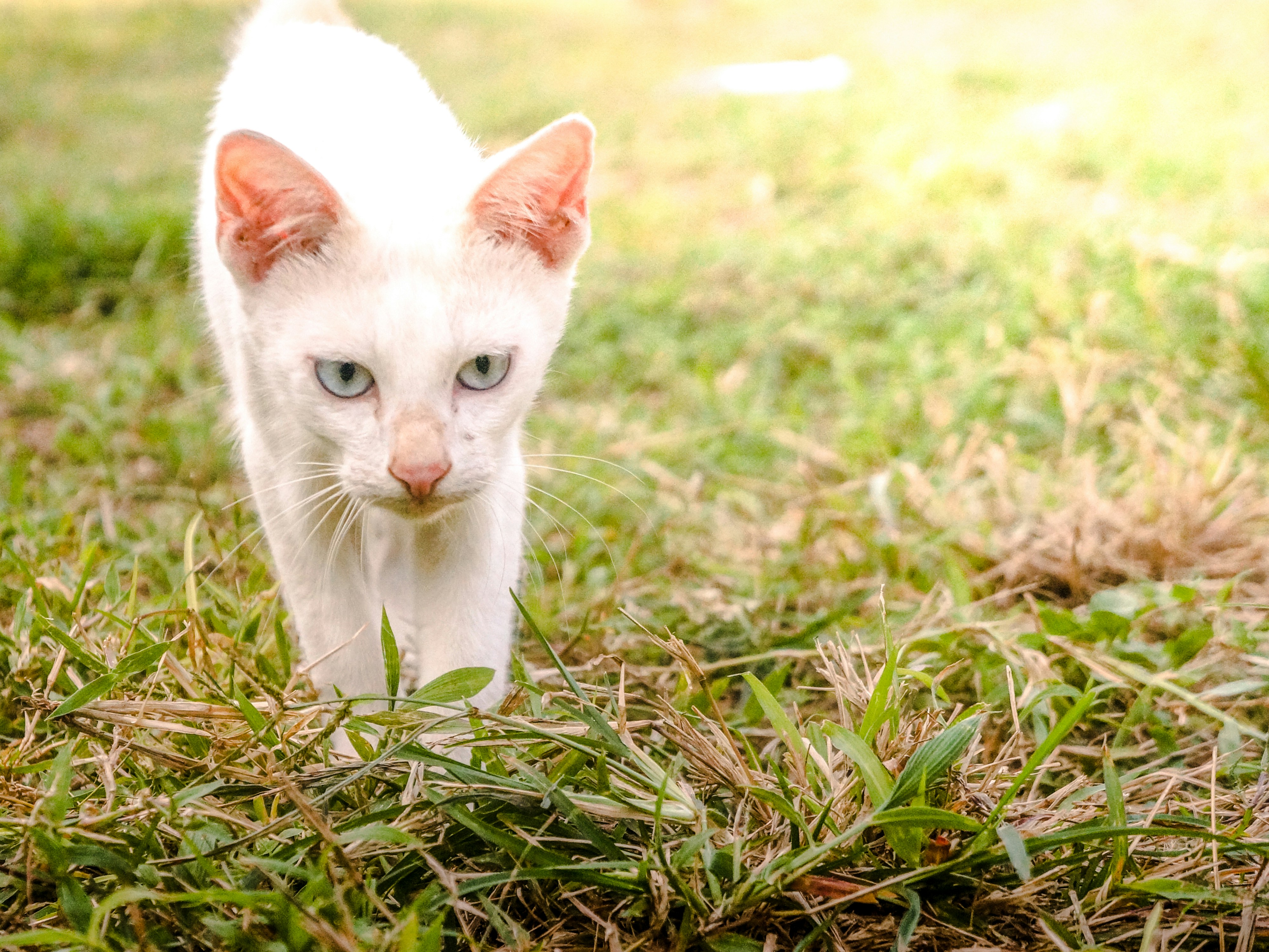 Photo by hikarinoshita