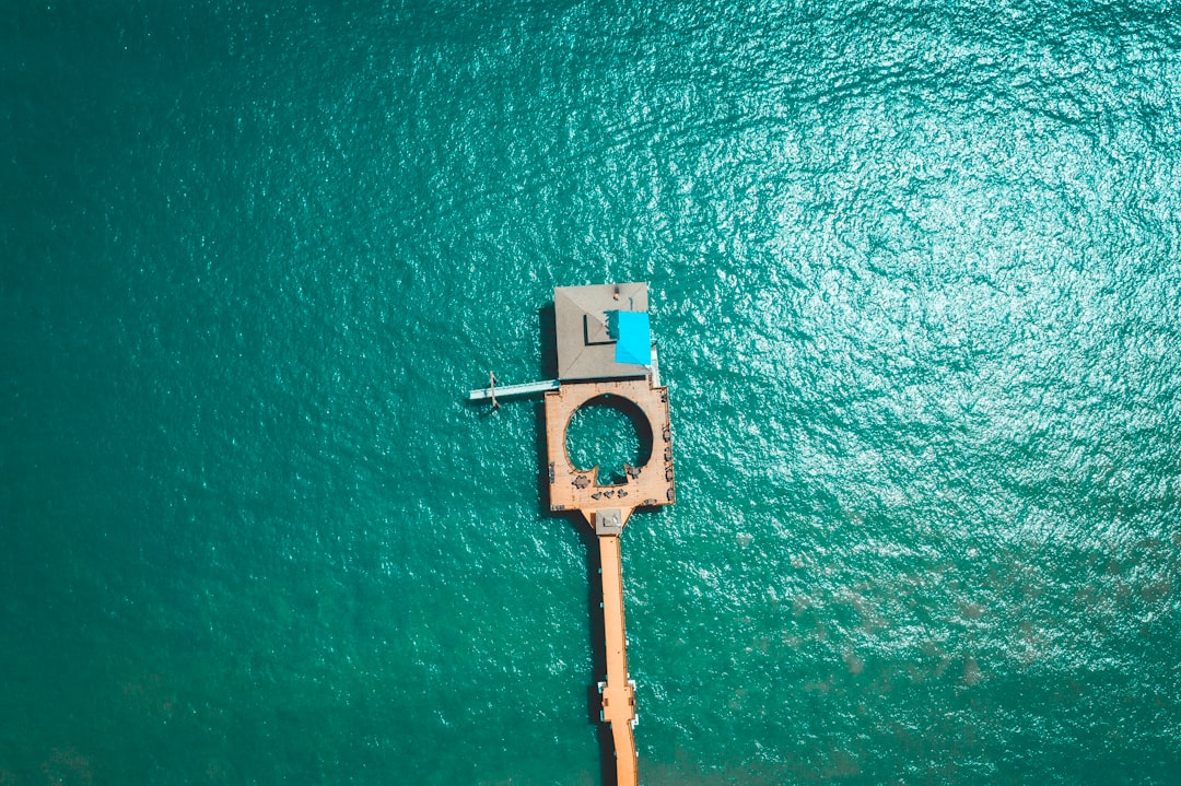 top-view photography of gray and brown building on sea