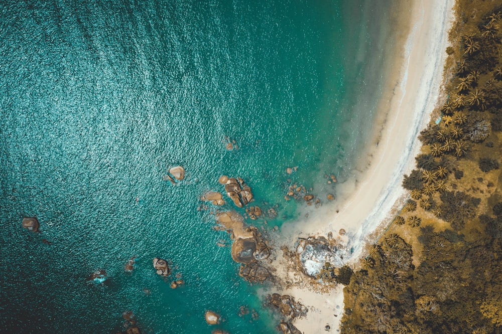 aerial photography of blue beach