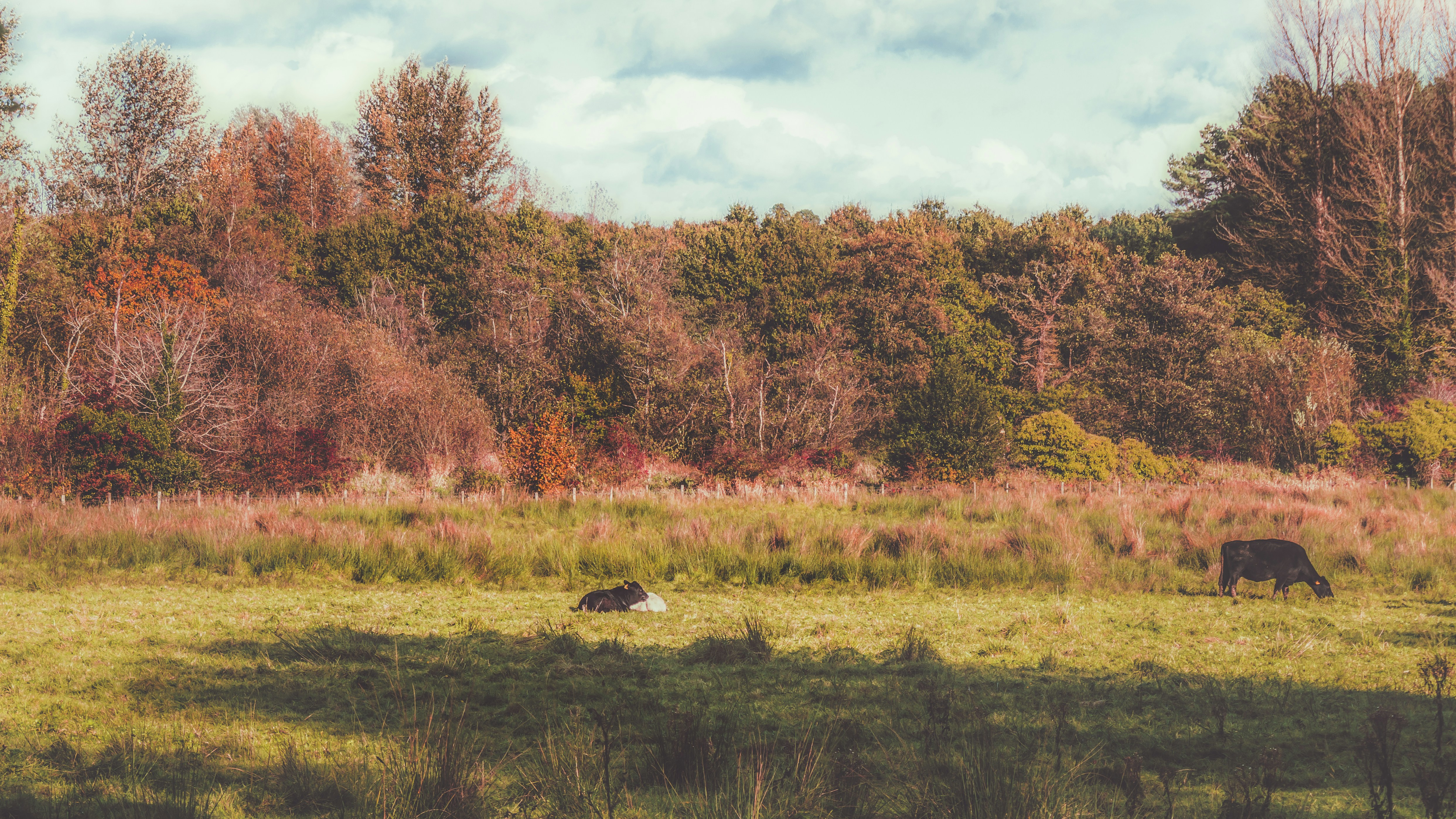 Photo by kmitchhodge