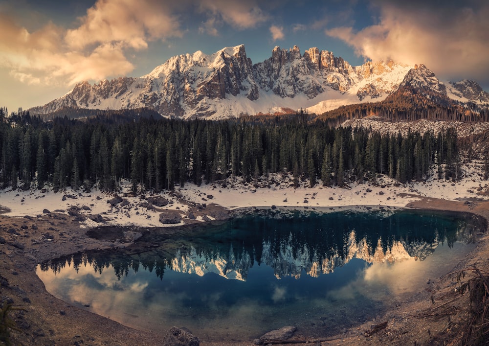 trees surrounding body of water