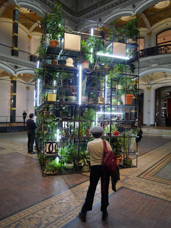 An elegant hydroponic sculpture with vibrant plants thriving in a minimalist stone and metal frame.