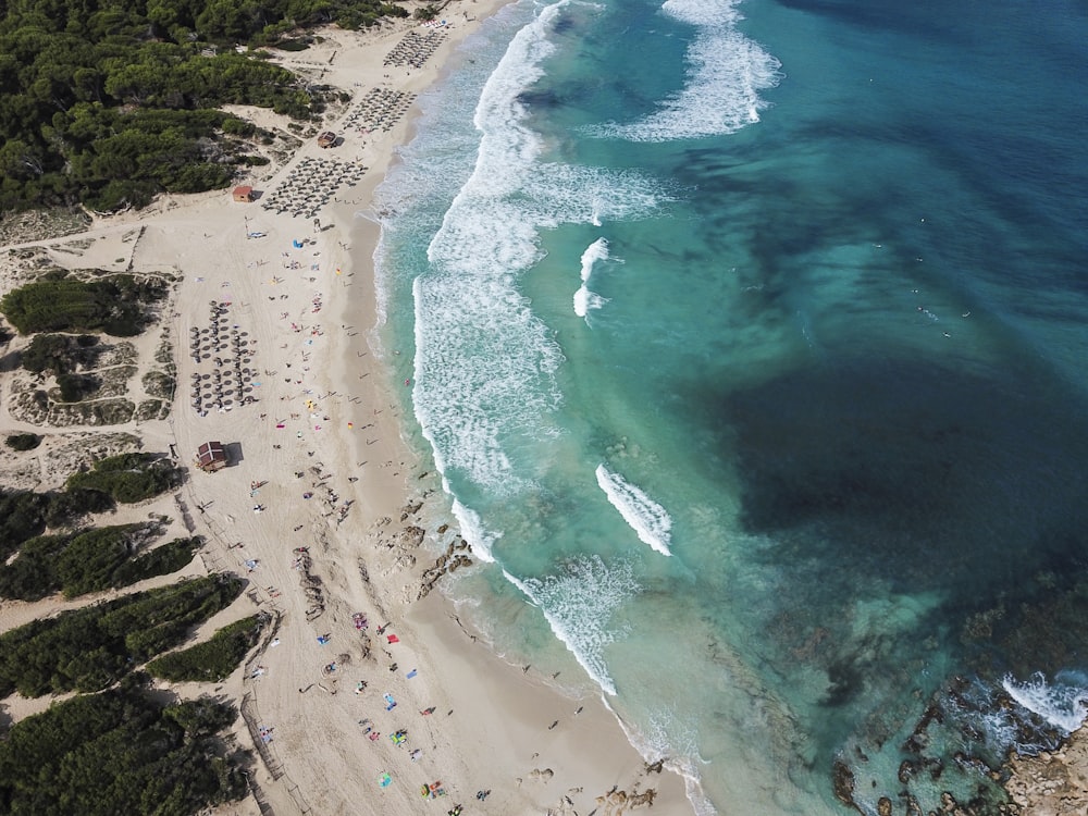 wavy seashore during daytime