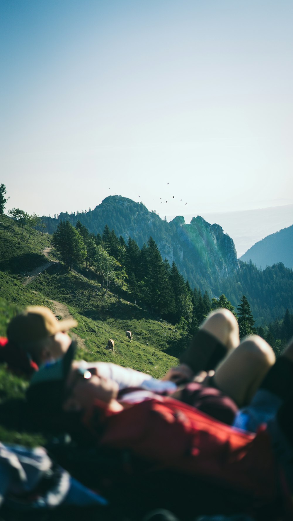 two people lying on green field viewing mountain during daytime