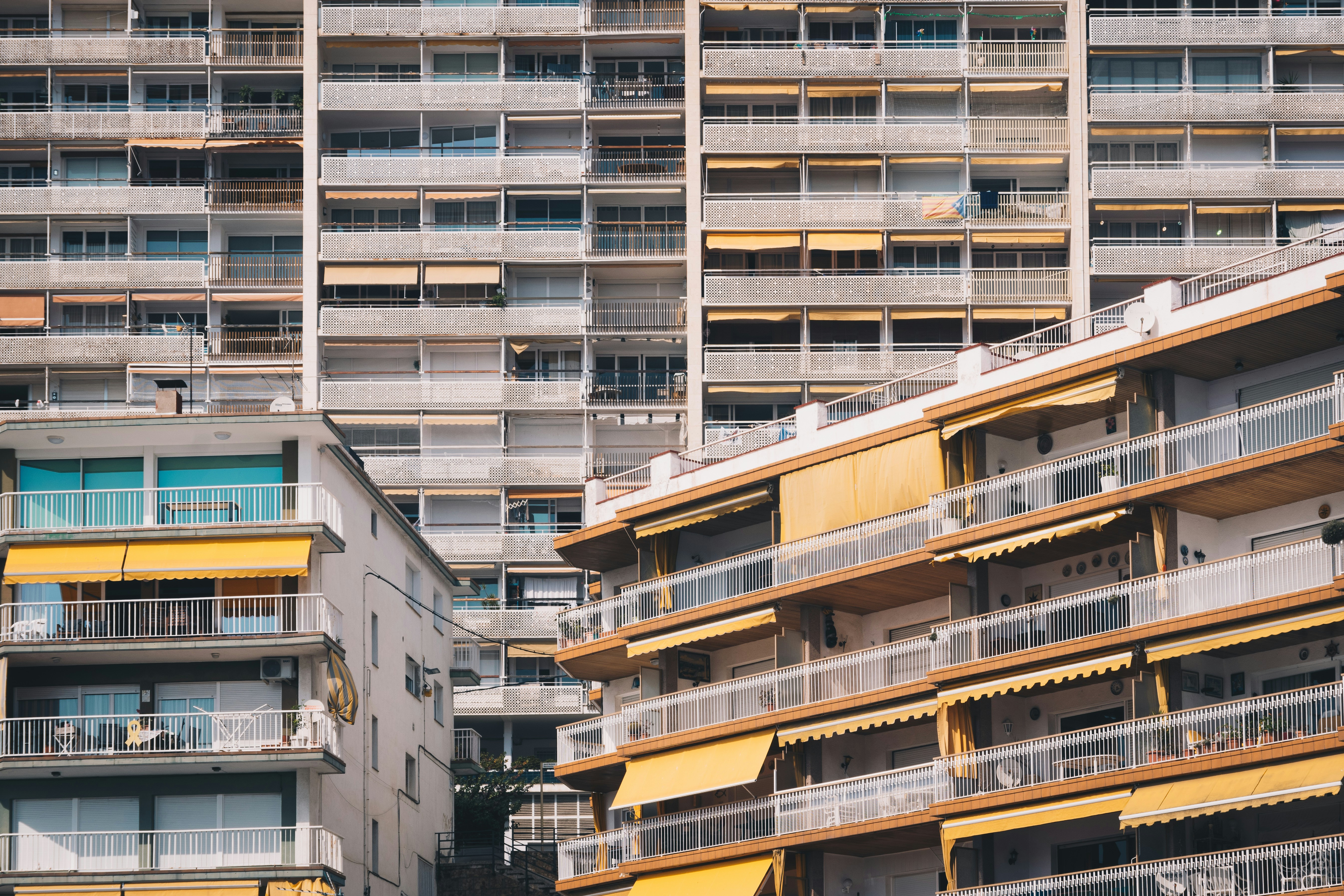 Photo by xavi_cabrera