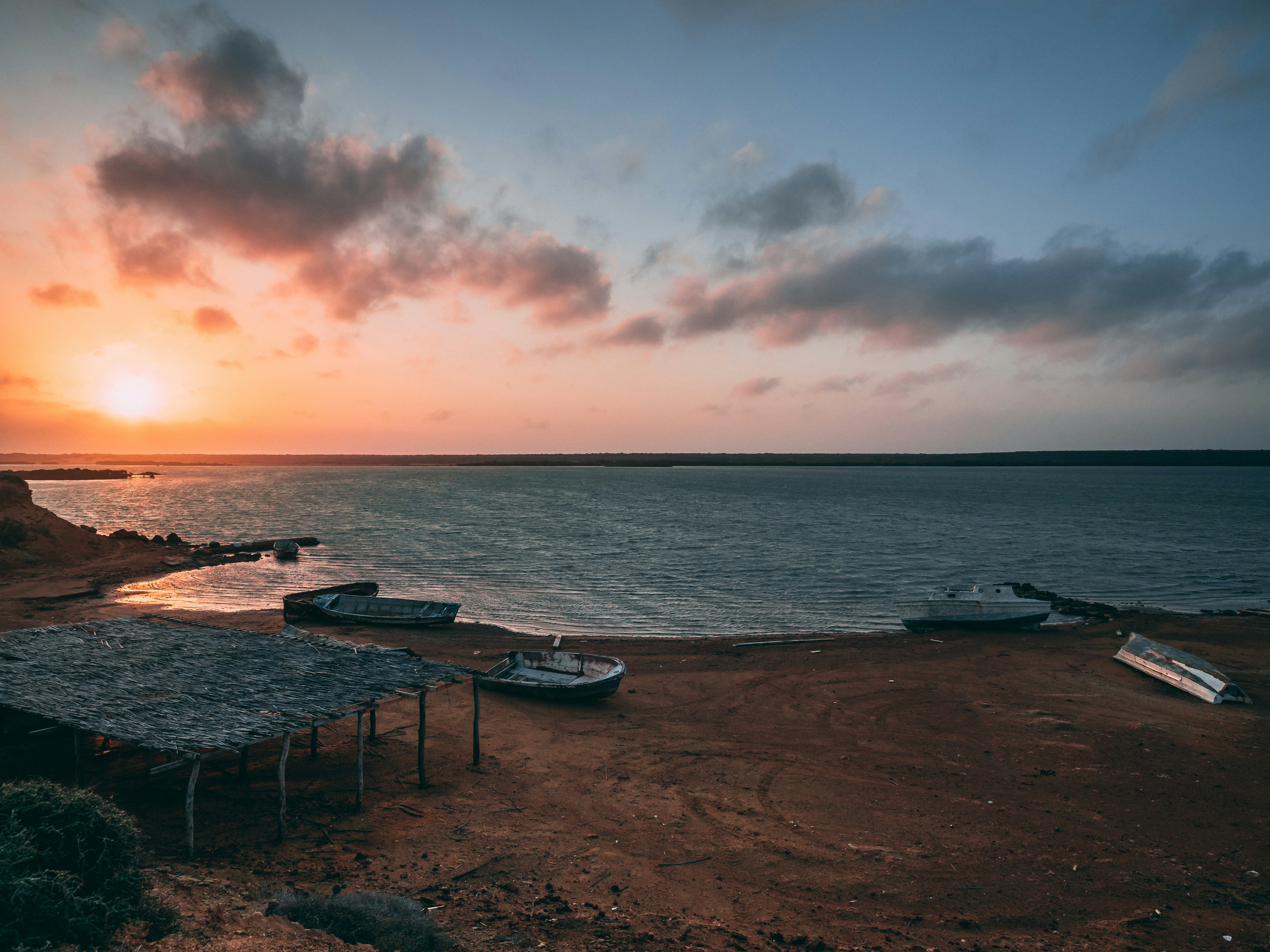 photography of seashore during daytime