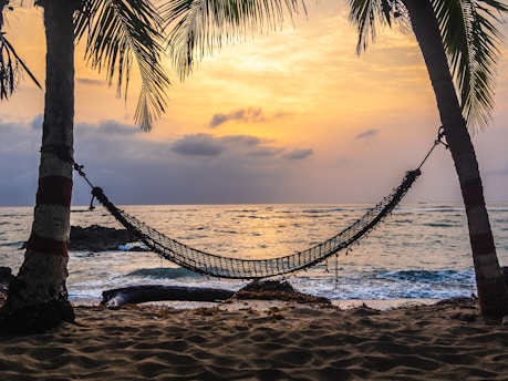 black hammock hanging between coconut tree on beach during golden hour