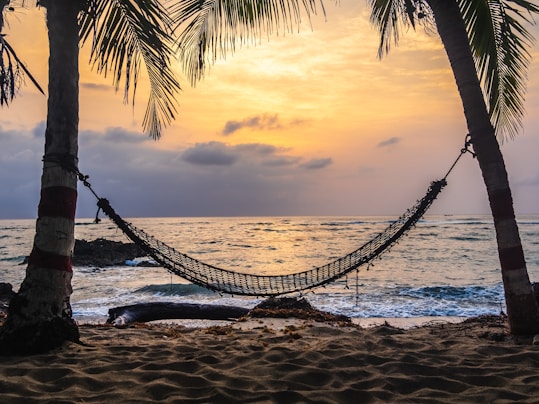 black hammock hanging between coconut tree on beach during golden hour