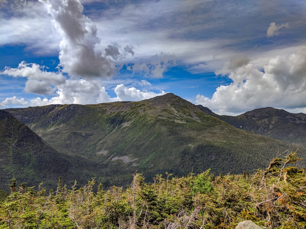 Collines verdoyantes