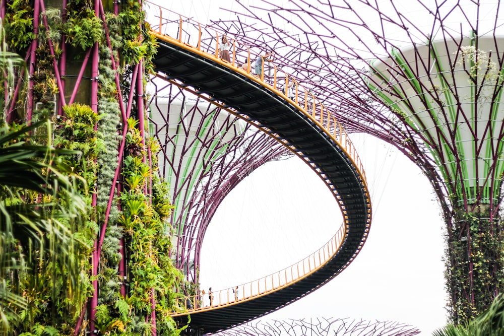 가든스 바이 더 베이(Gardens by the Bay), 낮 동안의 싱가포르