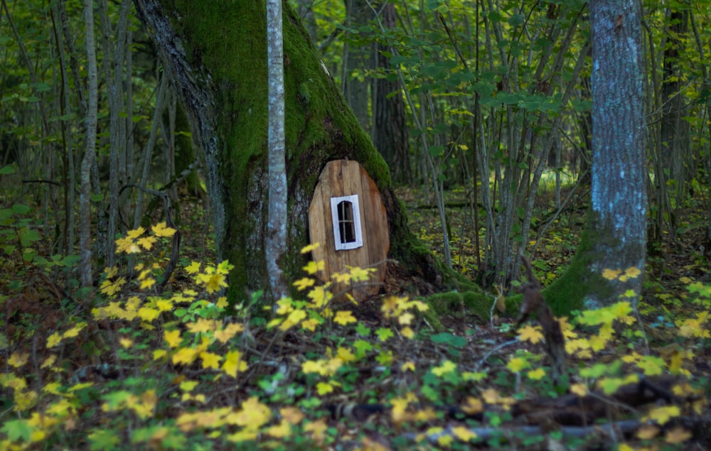 tree house in forest