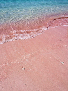 Close-up of crystal blue ocean waves gently lapping on pink-hued shells scattered on the shore.