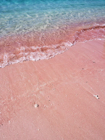 Close-up of crystal blue ocean waves gently lapping on pink-hued shells scattered on the shore.