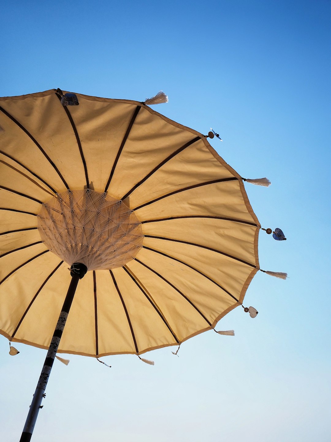 shallow focus photo of brown off-set umbrella