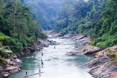 Travelers enjoying a serene river surrounded by lush green forest, savoring a peaceful escape