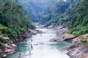 Guests enjoying a serene river safari, spotting wildlife along the lush riverbank.