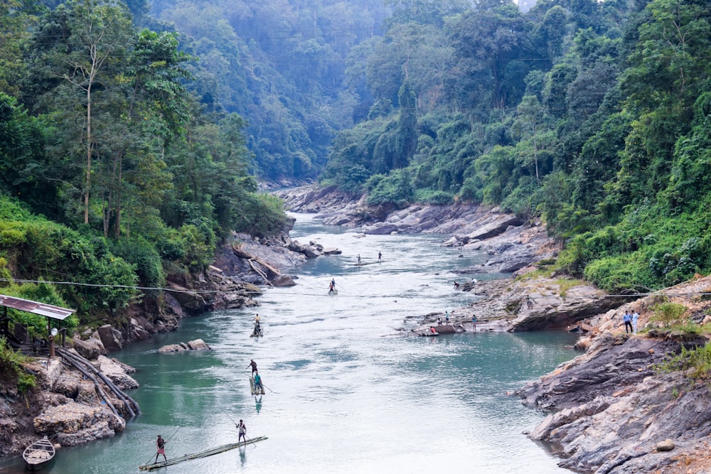 photography of river between forest during daytime