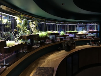 A curved indoor space featuring several rows of plants supported by modern hanging planters. The plants are well-lit by overhead lights, creating a vibrant green ambiance. The wooden surfaces and metal supports give the room a sleek, natural look. A sink and various kitchen items are positioned along the wooden countertop.