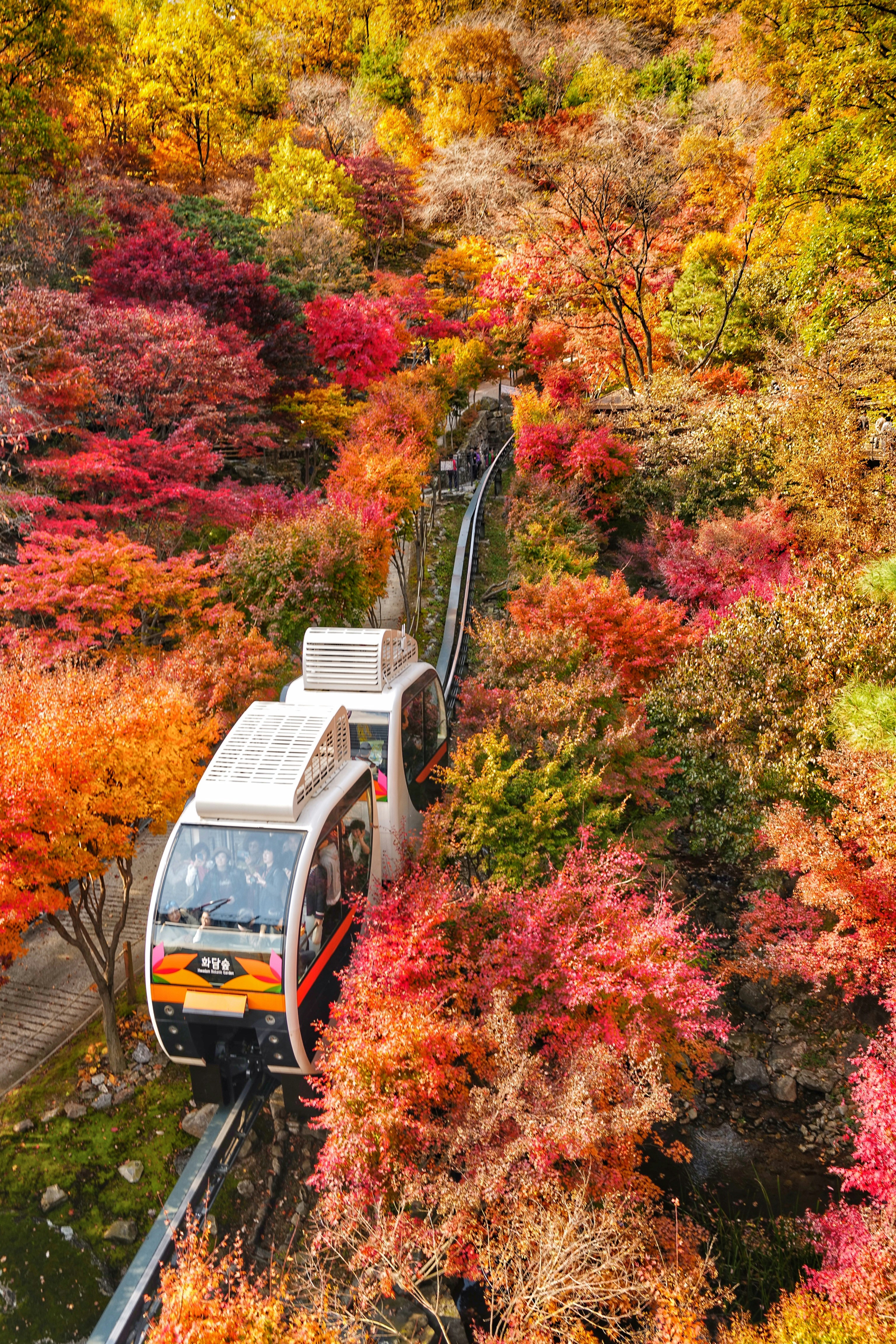 Traveling through rural Japan in autumn