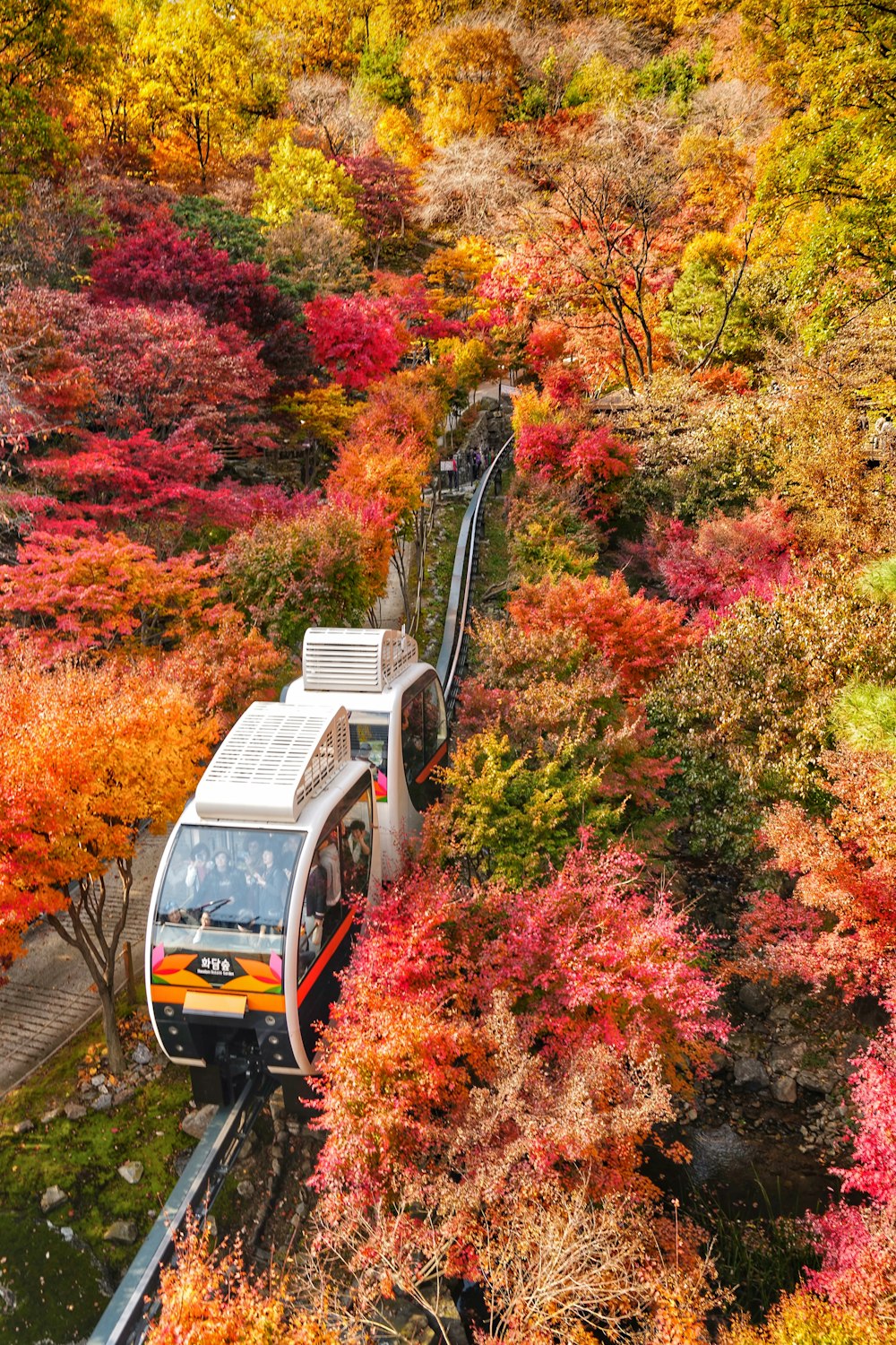 white and yellow train