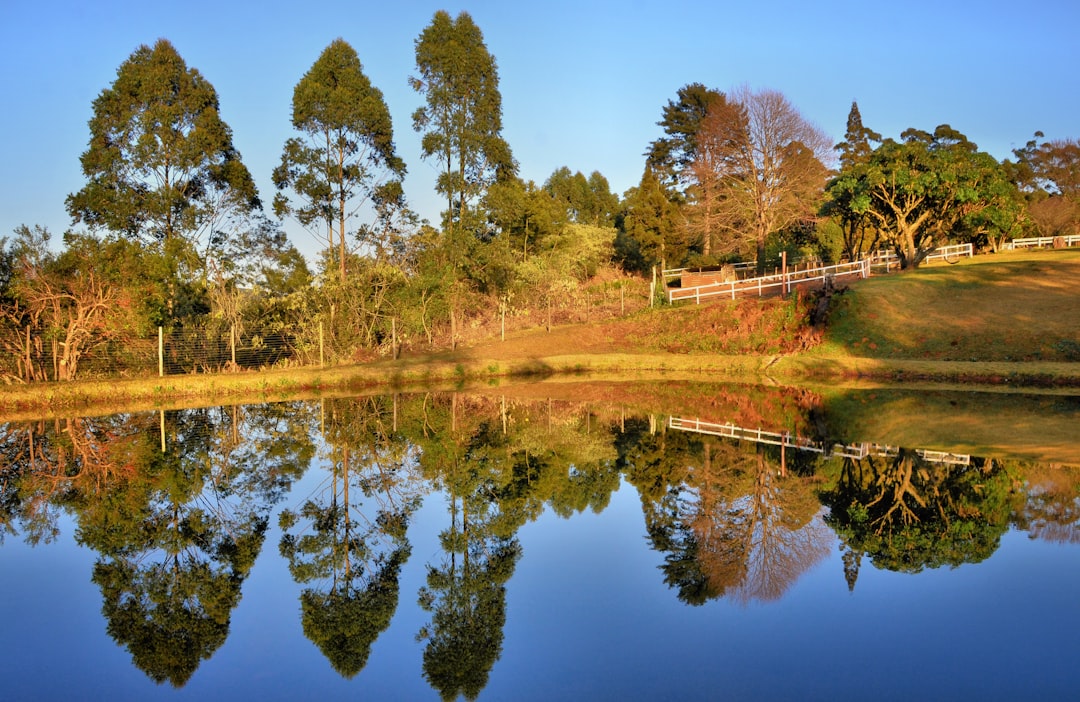 travelers stories about Nature reserve in Qunu, South Africa