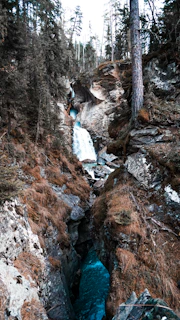 The cascading waters of the Taubenloch gorge surrounded by lush greenery.