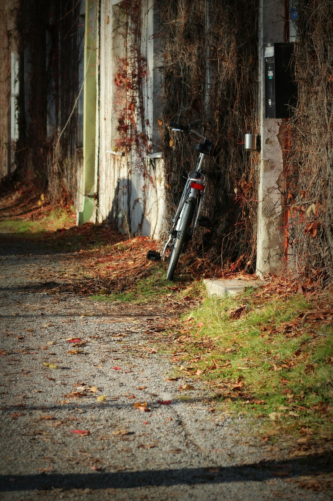 gray and black bicycle lean on wall during daytime