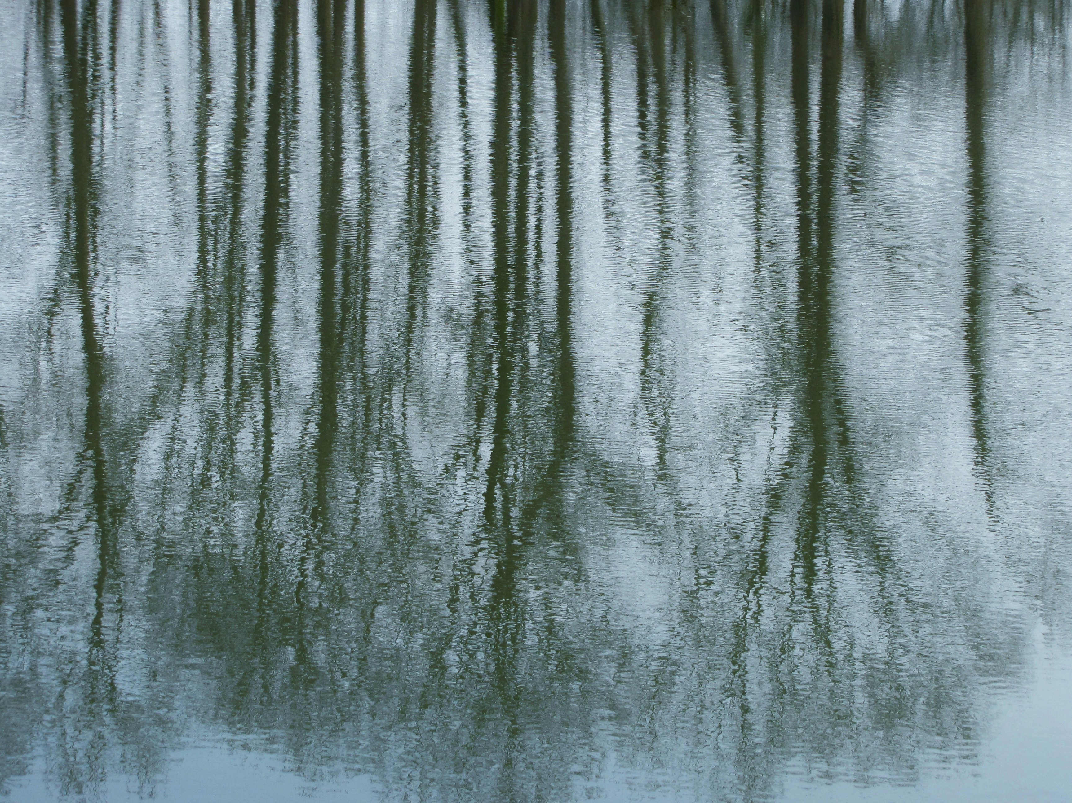 Photo by sasan_golbostani